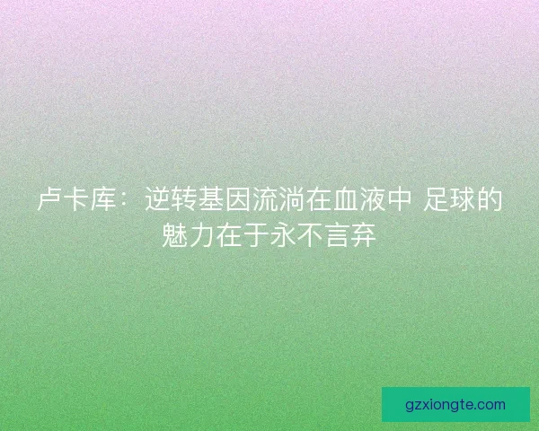 卢卡库：逆转基因流淌在血液中 足球的魅力在于永不言弃