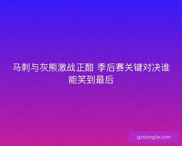 马刺与灰熊激战正酣 季后赛关键对决谁能笑到最后